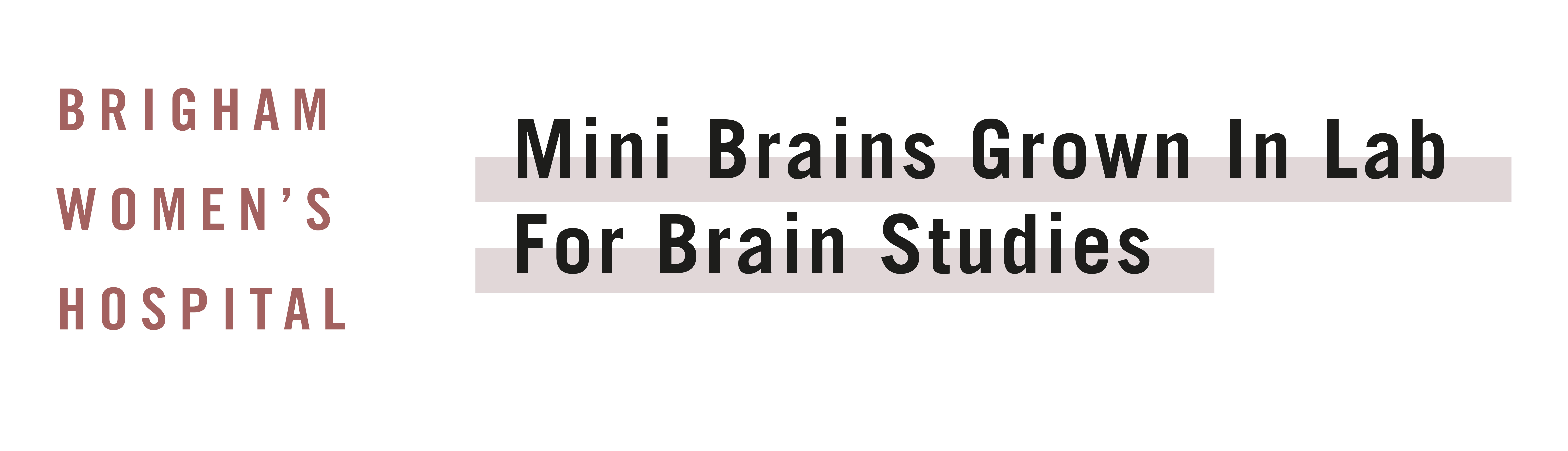 Mini-Brains