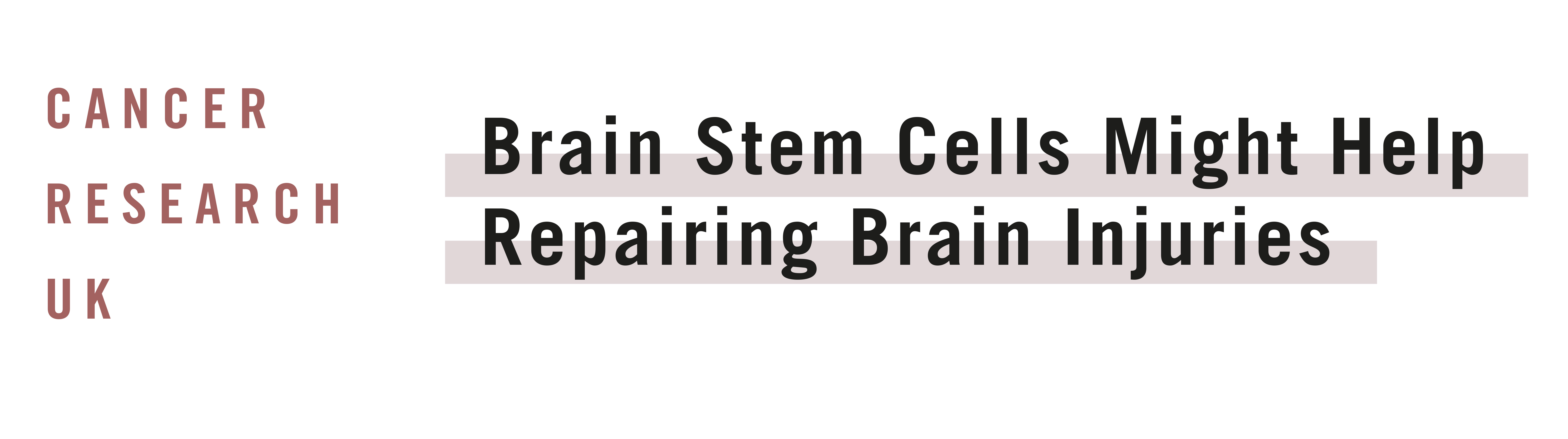 Stem Cells That Could Help Repairing Brain Diseases
