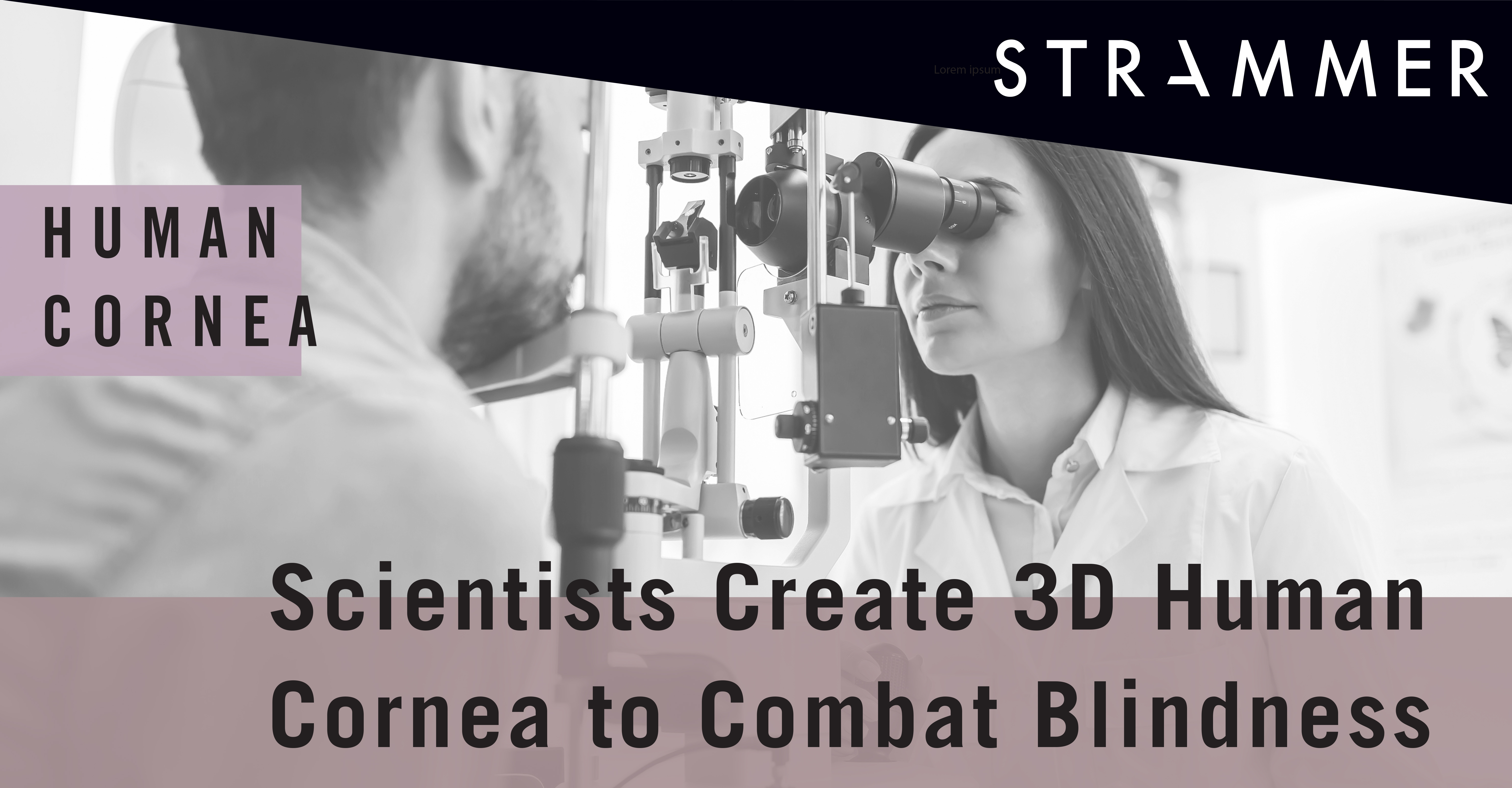 3D Human Cornea Created by Scientists