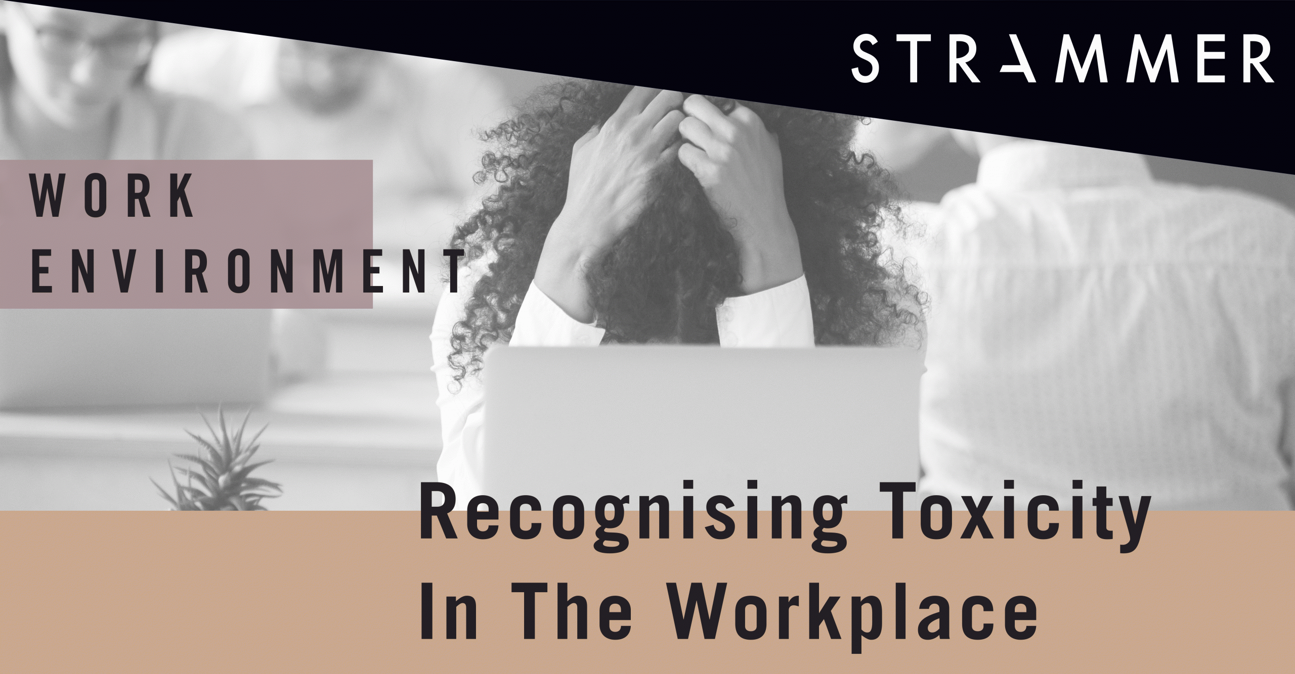 Toxic Workplace: How to Cope With One?