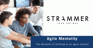 Agile-Mentality