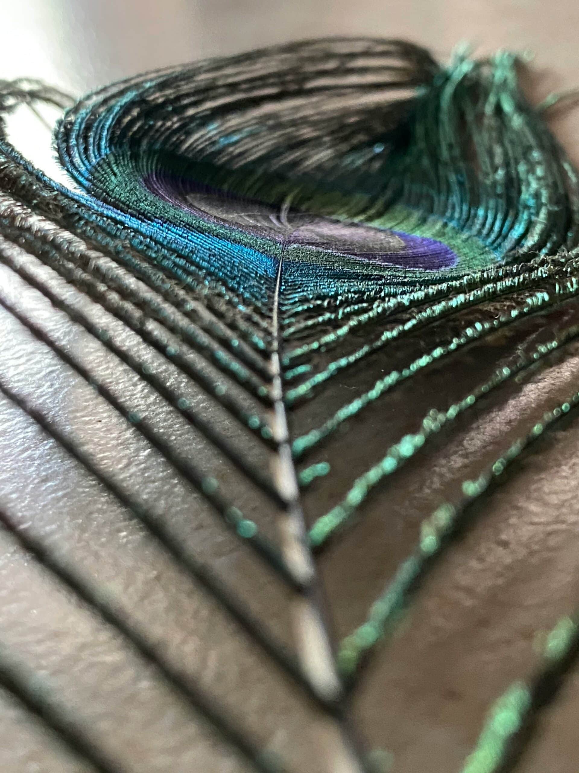 priya patel QJTfyenAAoQ unsplash scaled 1